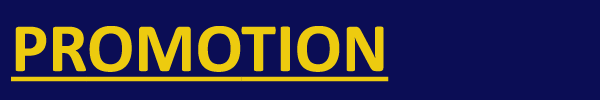 Business Promotion
